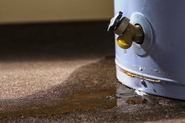 Best Local water damage restoration  in East Prairie, MO