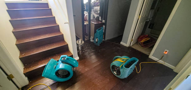 Best 24-hour water damage restoration  in East Prairie, MO