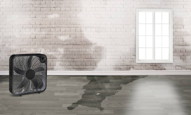 Best Fire Damage Restoration  in East Prairie, MO