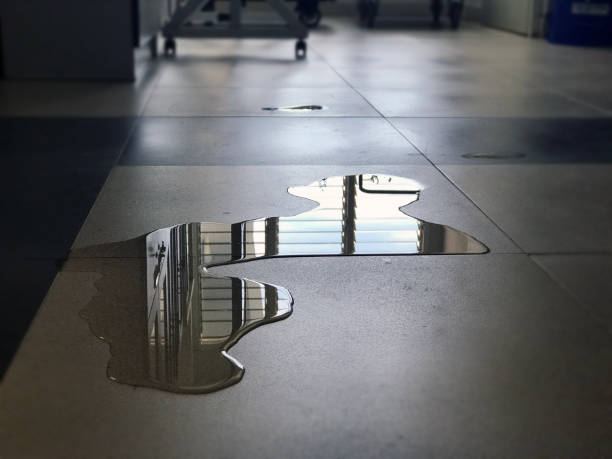 Best Water damage restoration specialists  in East Prairie, MO