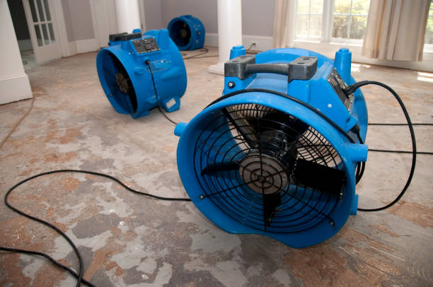 Best Flood restoration services  in East Prairie, MO