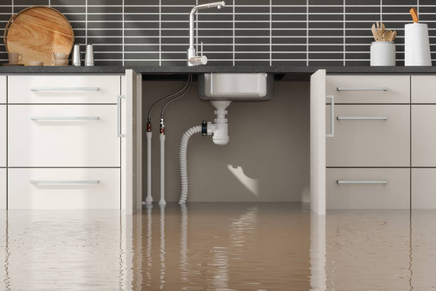 Best Water damage contractors near me  in East Prairie, MO