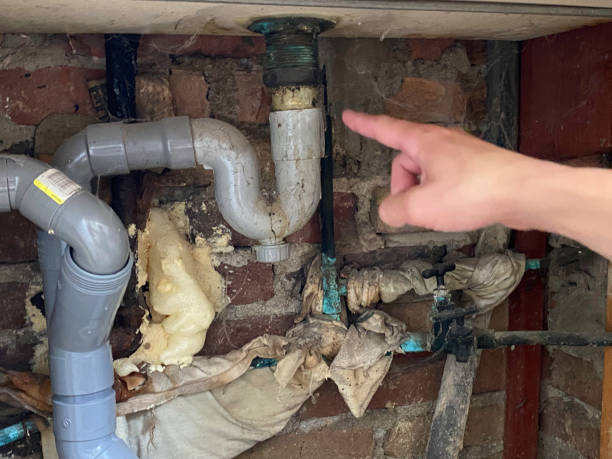 Best Local water damage restoration  in East Prairie, MO