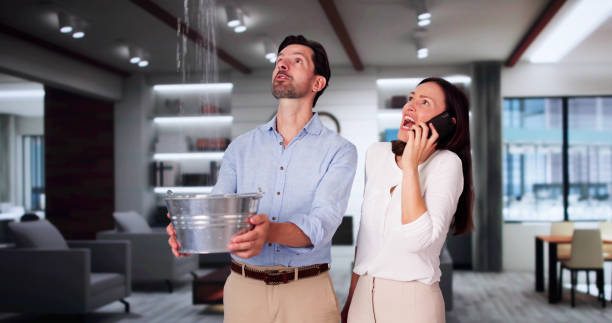 Best Mold removal after water damage  in East Prairie, MO